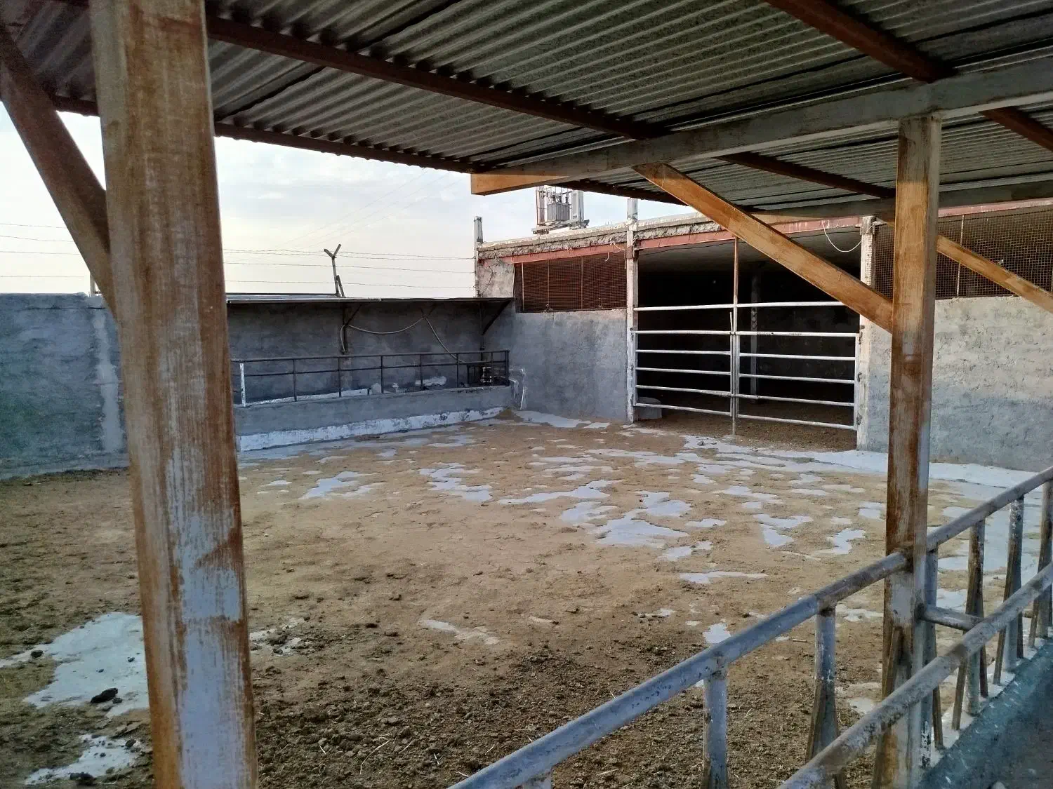 شراکت در گاوداری صنعتی با سود تضمینی|فروش دفتر صنعتی، کشاورزی، تجاری|اسلام‌‌آباد غرب, |دیوار