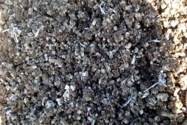 کود|لوازم جانبی حیوانات|بوئین زهرا, |دیوار