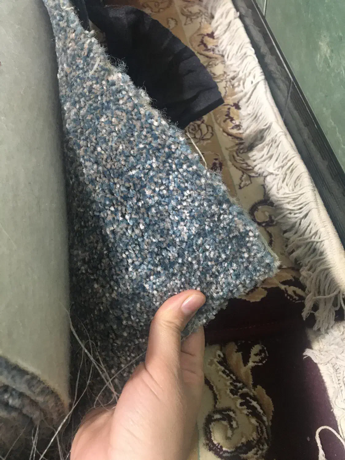 موکت|موکت|شوش, |دیوار