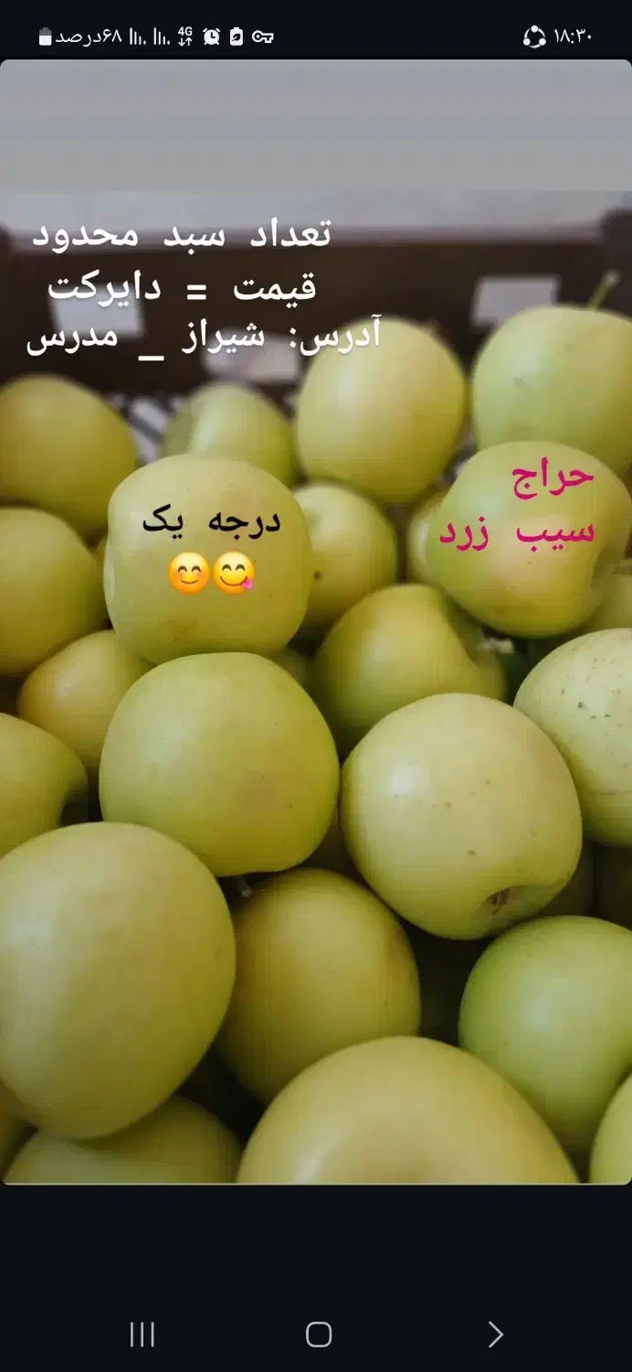 سیب درجه یک زرد|خوردنی و آشامیدنی|شیراز, کیان شهر|دیوار