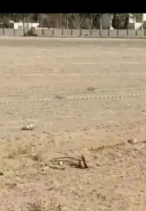 فاز۳ نیروی دریایی|حراج|سیرجان, |دیوار