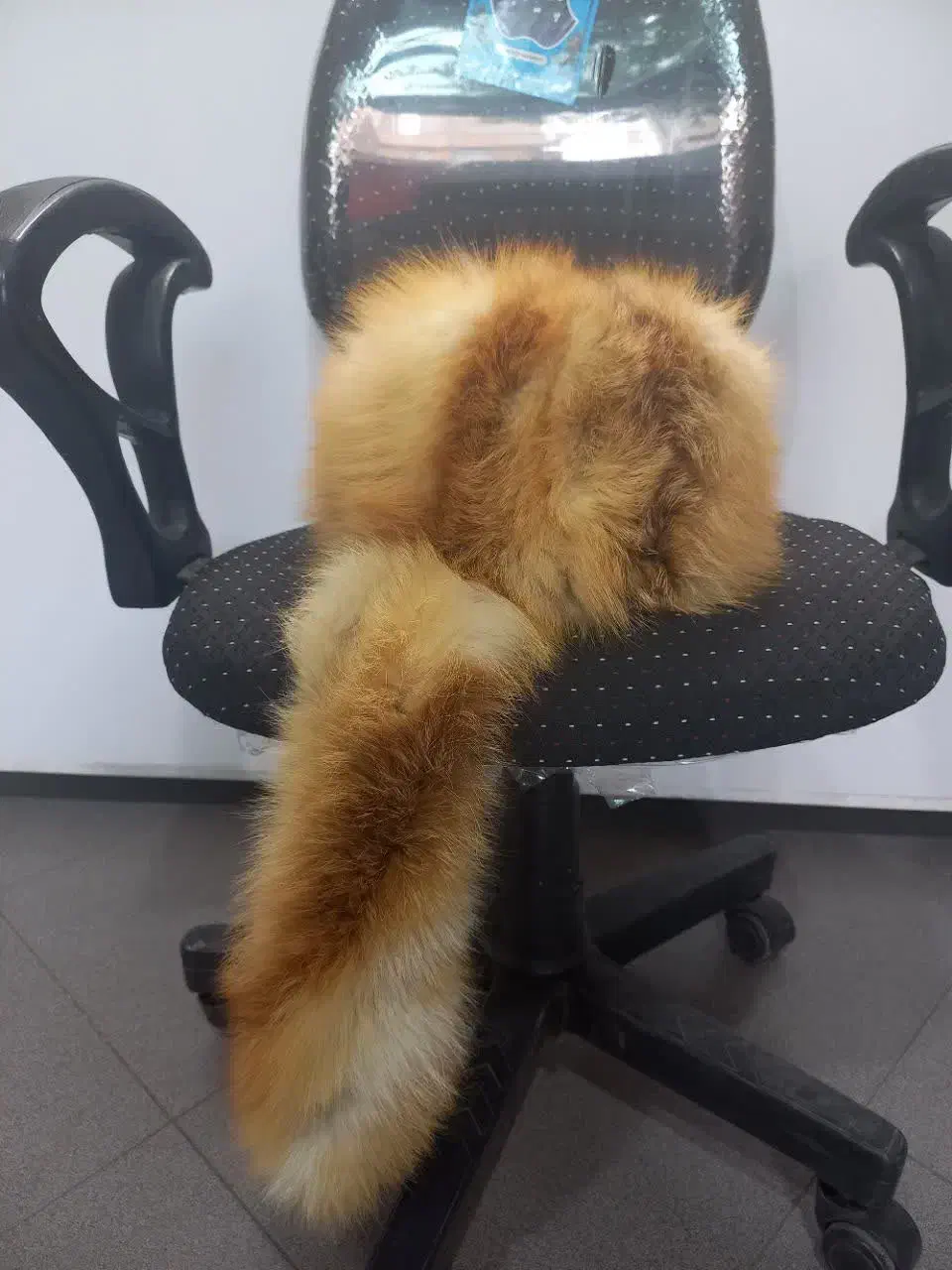 کلاه روسی اورجینال|لباس|ری, دولتآباد|دیوار