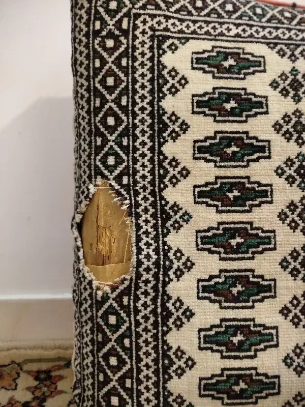 دو عدد پشتی|پشتی|نیشابور, پاستور|دیوار