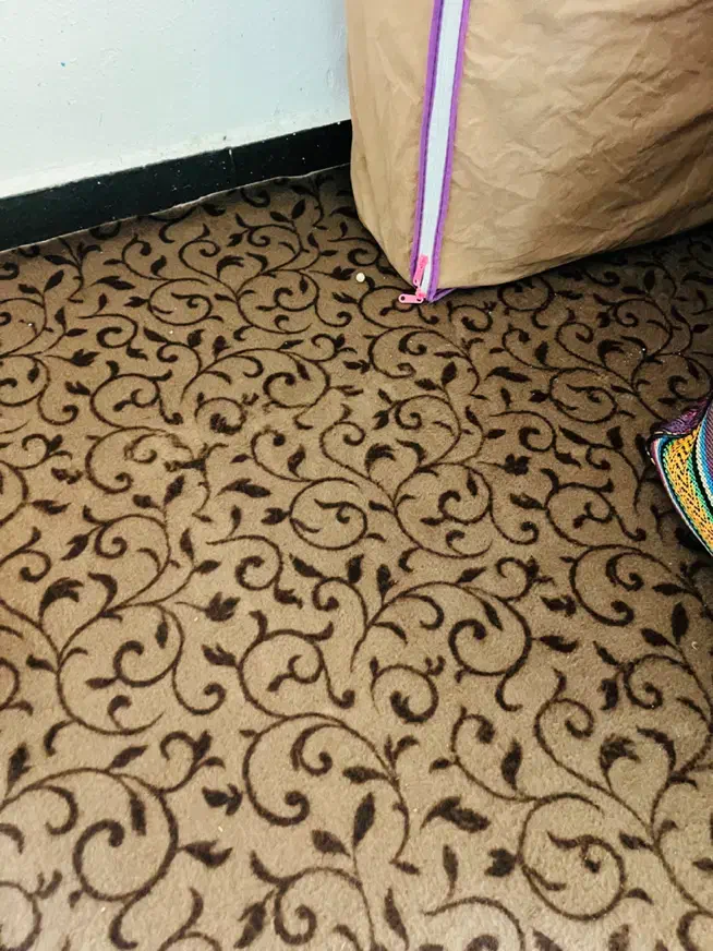 موکت در حد نو|موکت|بوشهر, |دیوار