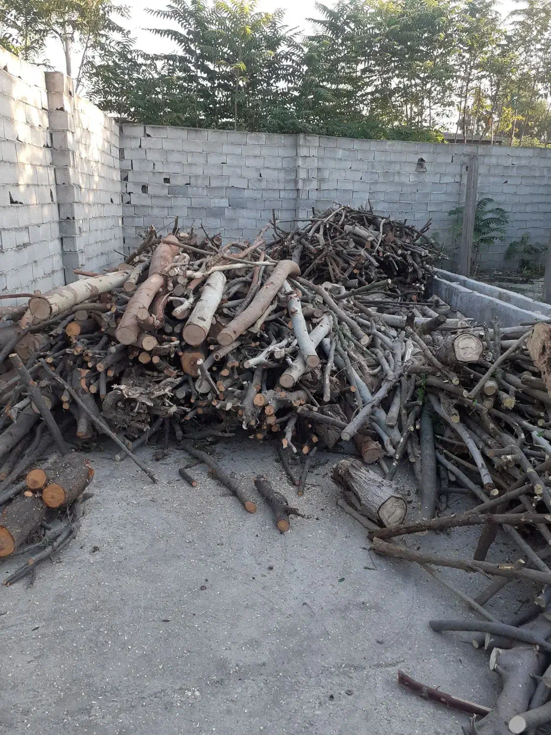 خریدار چوب و درخت باغی|خدمات باغبانی و درختکاری|کردکوی, |دیوار