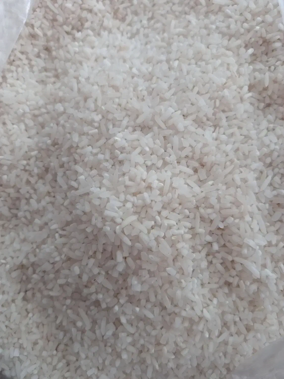 برنج هاشمی|خوردنی و آشامیدنی|قزوین, |دیوار