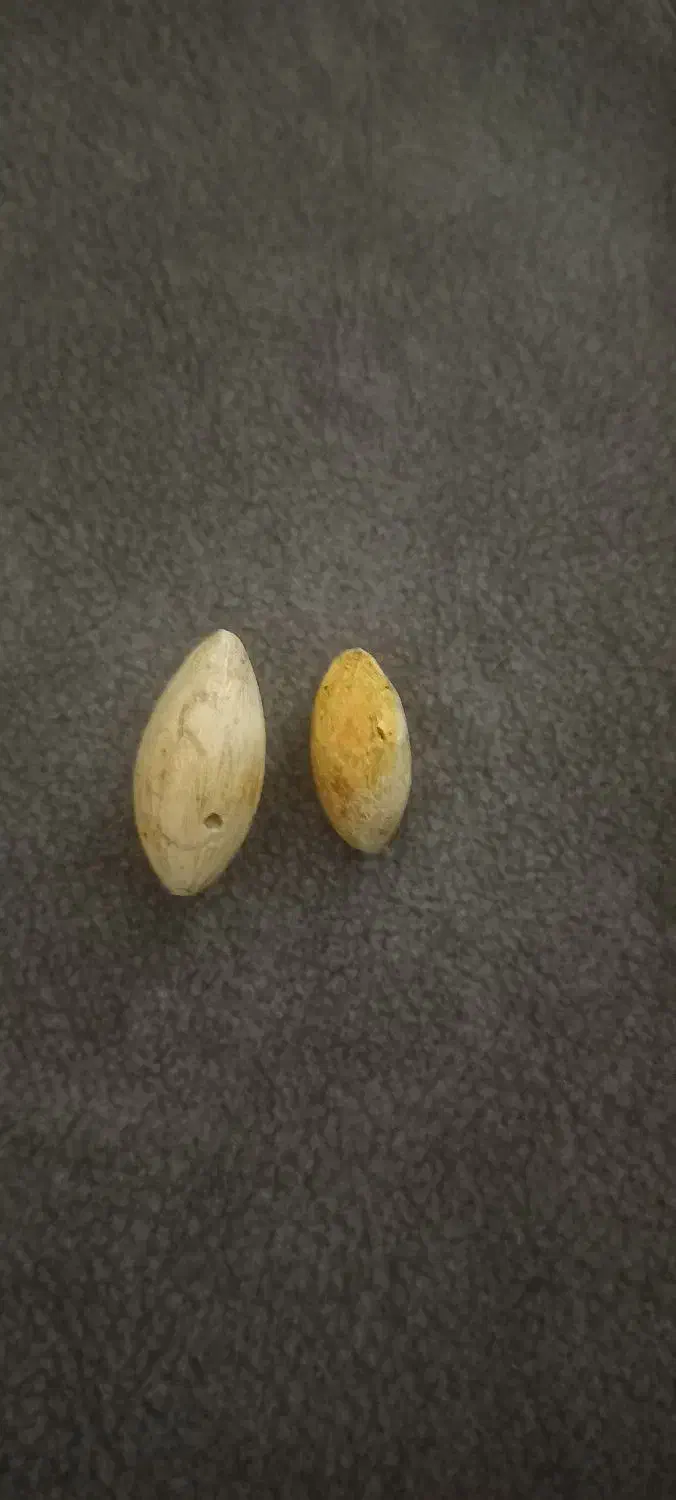 مهره|کلکسیون اشیاء عتیقه|گالیکش, |دیوار