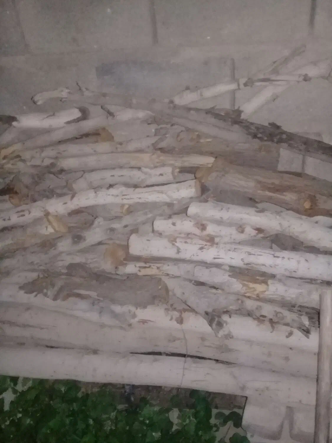 چوب فروشی|لوازم جانبی حیوانات|جیرفت, |دیوار