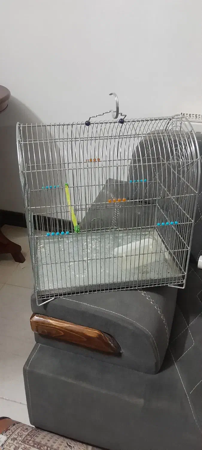 قفس کاملا سالم و نو|پرنده|کاشان, فاز ۱ ناجی آباد|دیوار