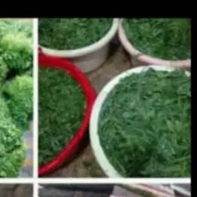 کار درخانه خودم|فعالیت داوطلبانه|بهبهان, |دیوار