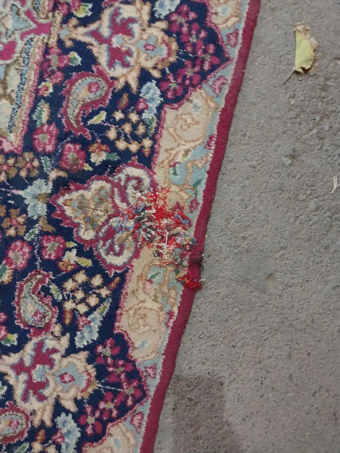 کرمانی۱۲ متری|فرش|کرمان, |دیوار