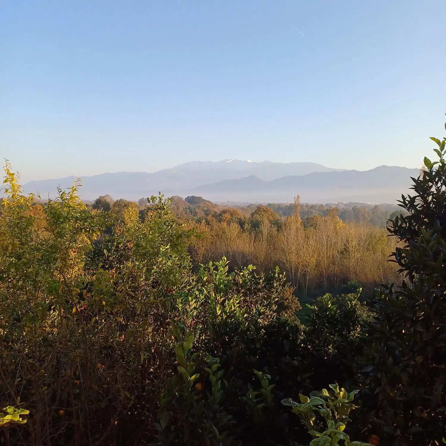 کومله لنگرود فروش زمین ۲۰۰۰متری|فروش زمین و ملک کلنگی|کومله, |دیوار