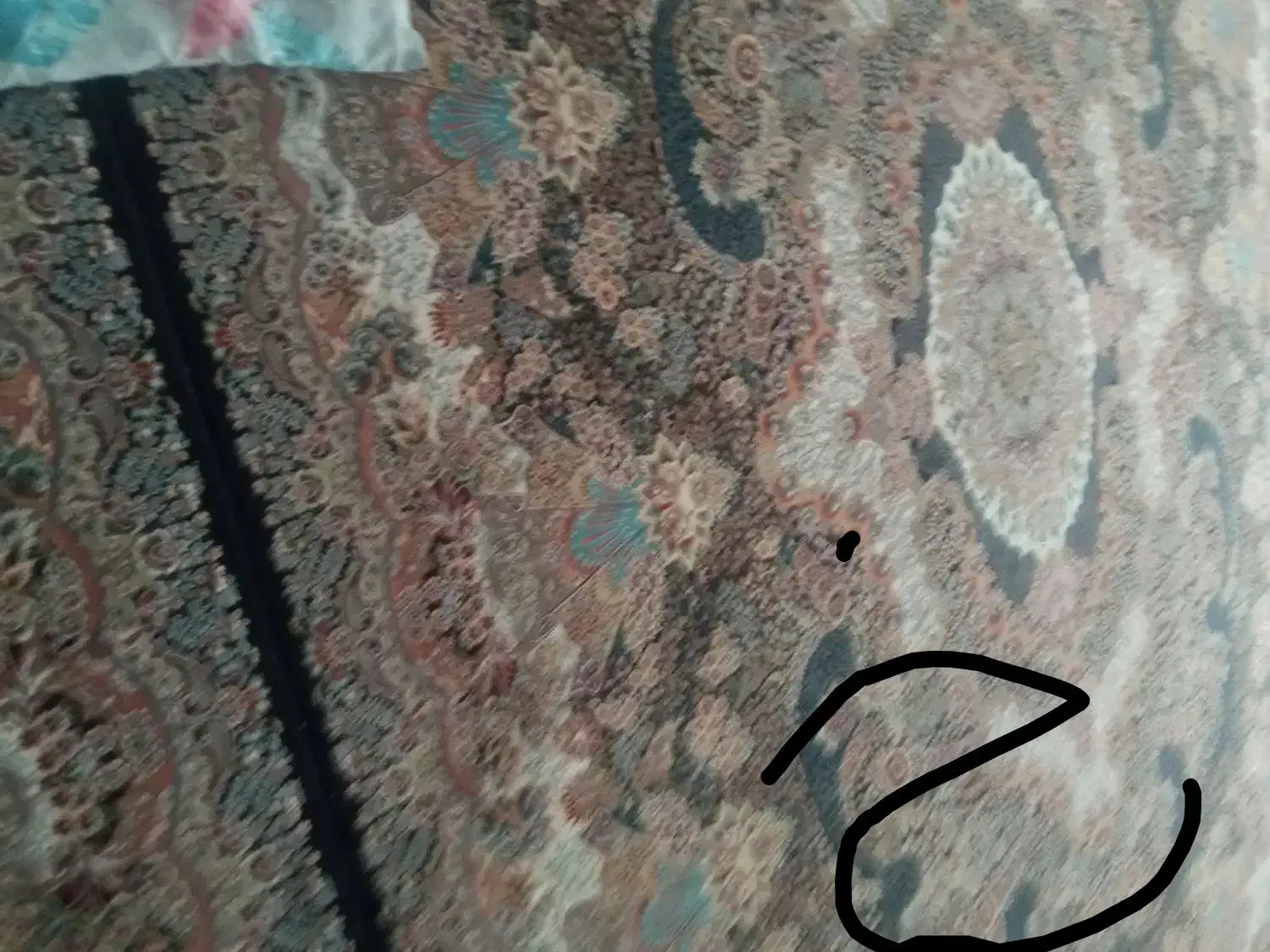 فرش دوازده متری 700شانه|فرش|بیرجند, |دیوار