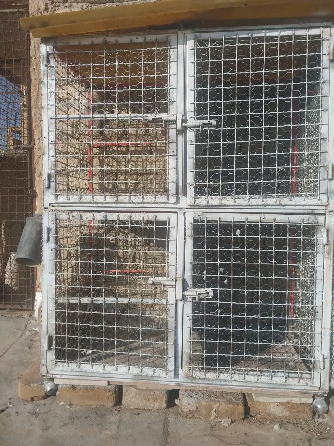 قفس جفتی|لوازم جانبی حیوانات|خمینیشهر, |دیوار