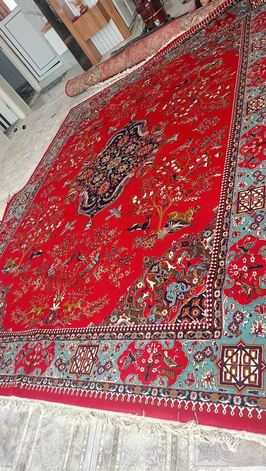 قالی|فرش|نورآباد, |دیوار