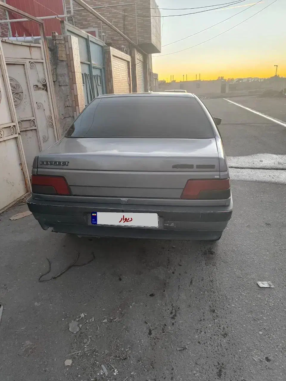 405دوگانه دلفینی|خودرو سواری و وانت|سیرجان, |دیوار