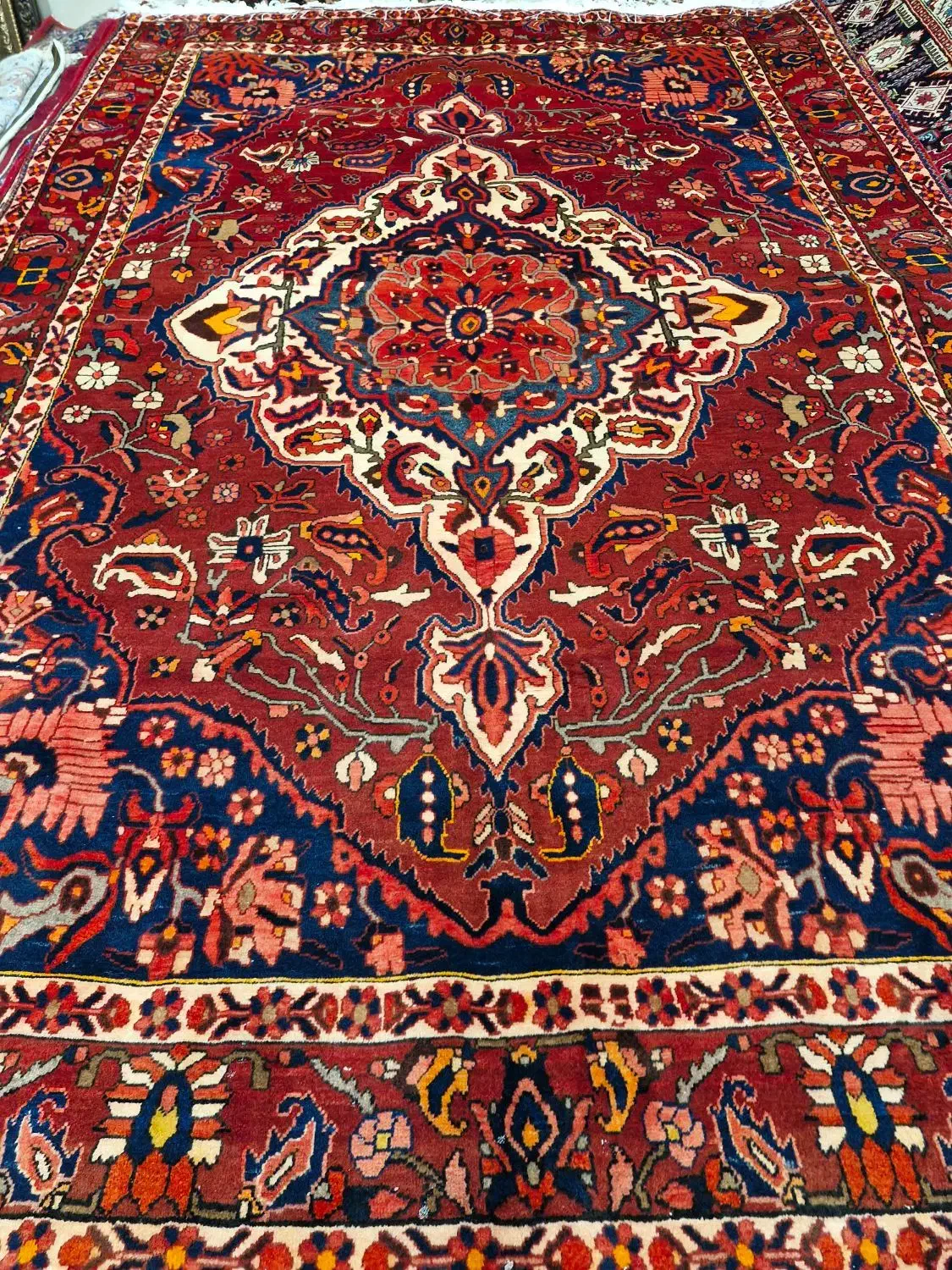 تک ۶ متری بختیاری|فرش|کرج, شهرک فهمیده|دیوار