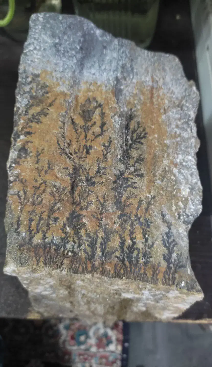 سنگ شجر|کلکسیون اشیاء عتیقه|تهران, جمال‌زاده|دیوار