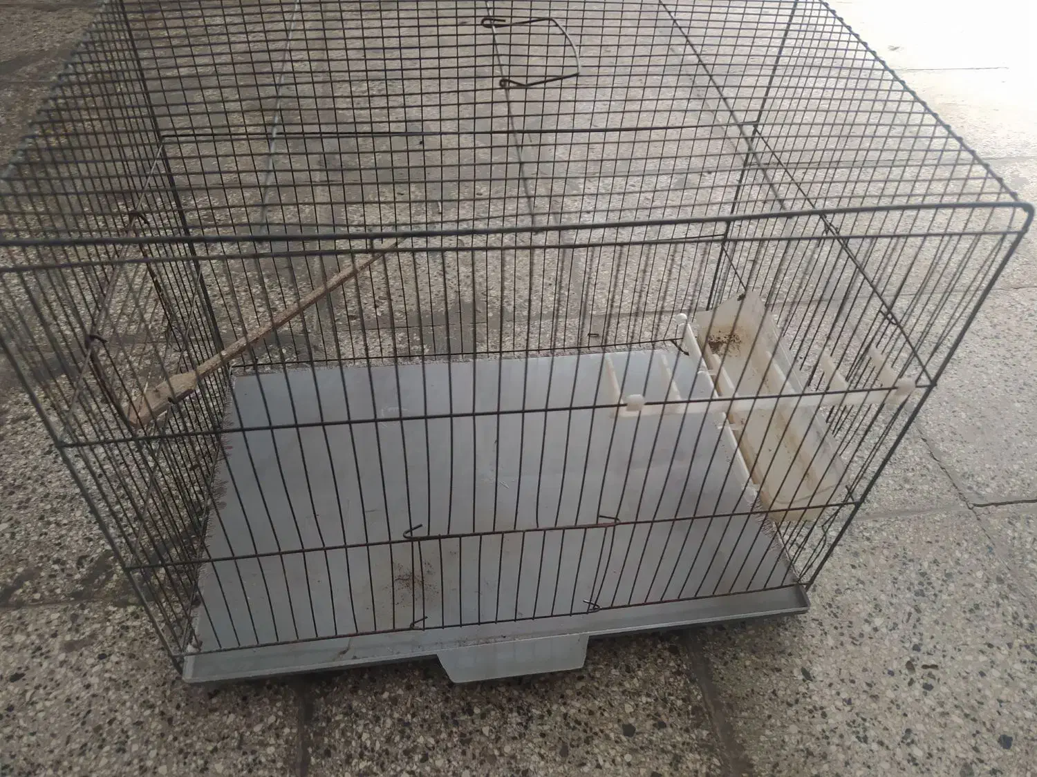 قفس فروشی فوری|لوازم جانبی حیوانات|گنبد کاووس, |دیوار