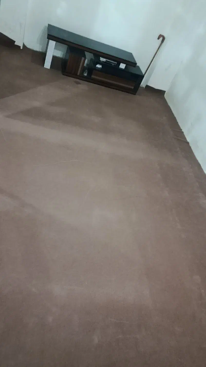 موکت سالم 15 متری|موکت|رشت, فلسطین|دیوار