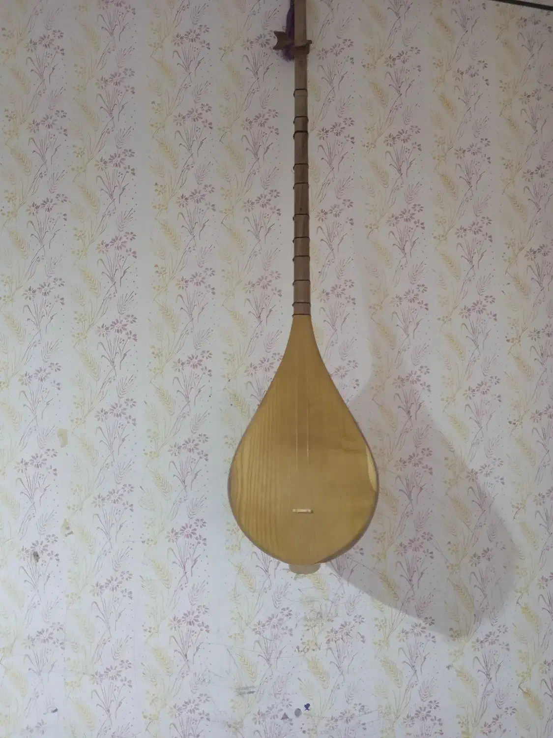 دوتار بسیار خوش صدا|سازهای سنتی|فریمان, |دیوار