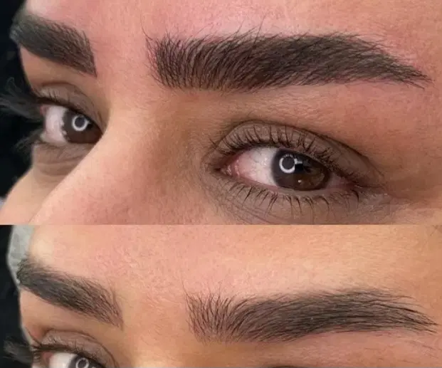 تخفیف ویژه میکروبلیدینگ|خدمات زیبایی و سلامت|رشت, معلم|دیوار