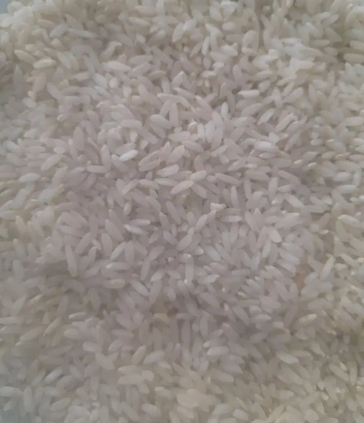 برنج|خوردنی و آشامیدنی|لوداب, |دیوار