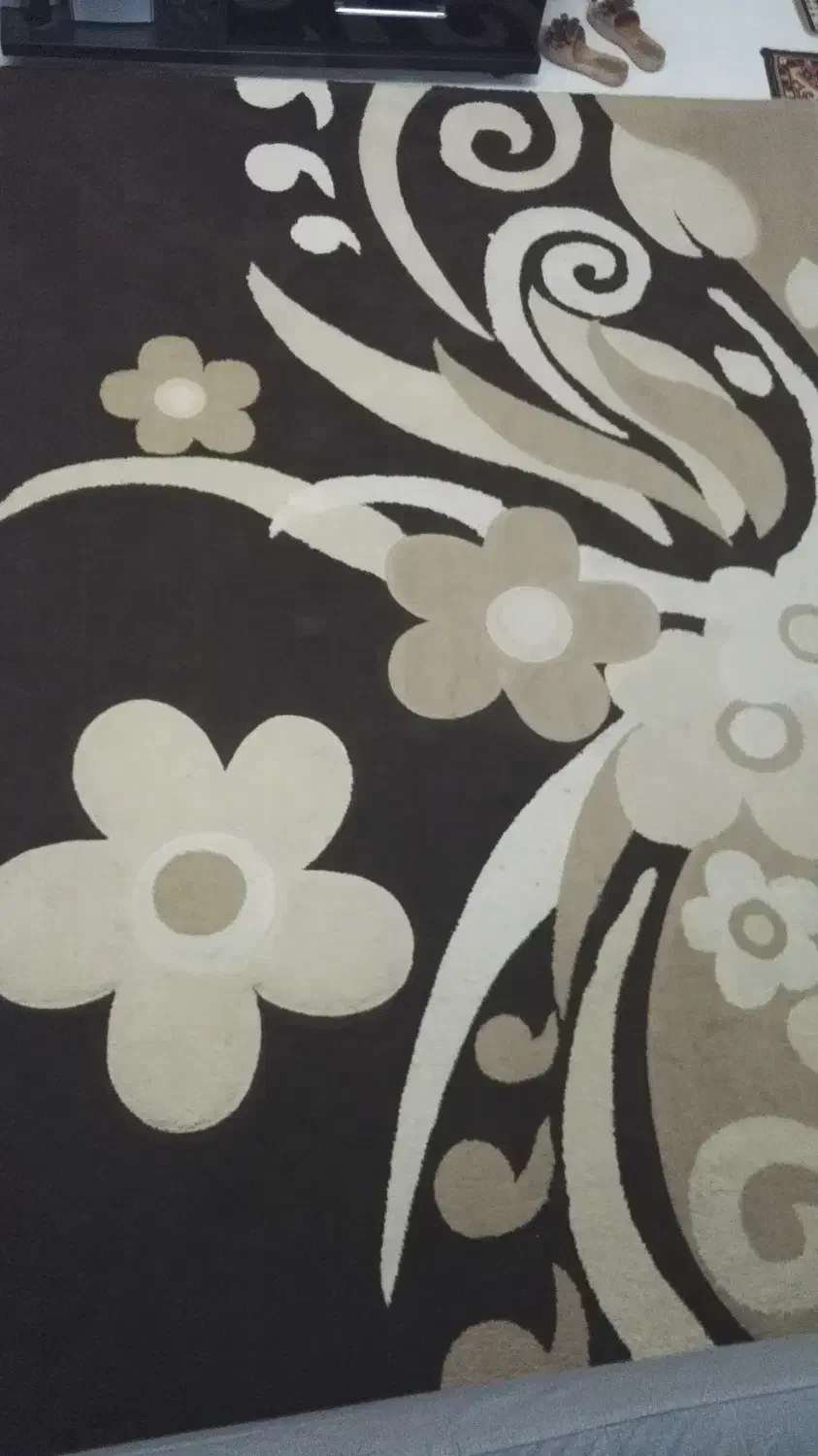 فرش ۶ متری|فرش|رشت, رودبارتان|دیوار