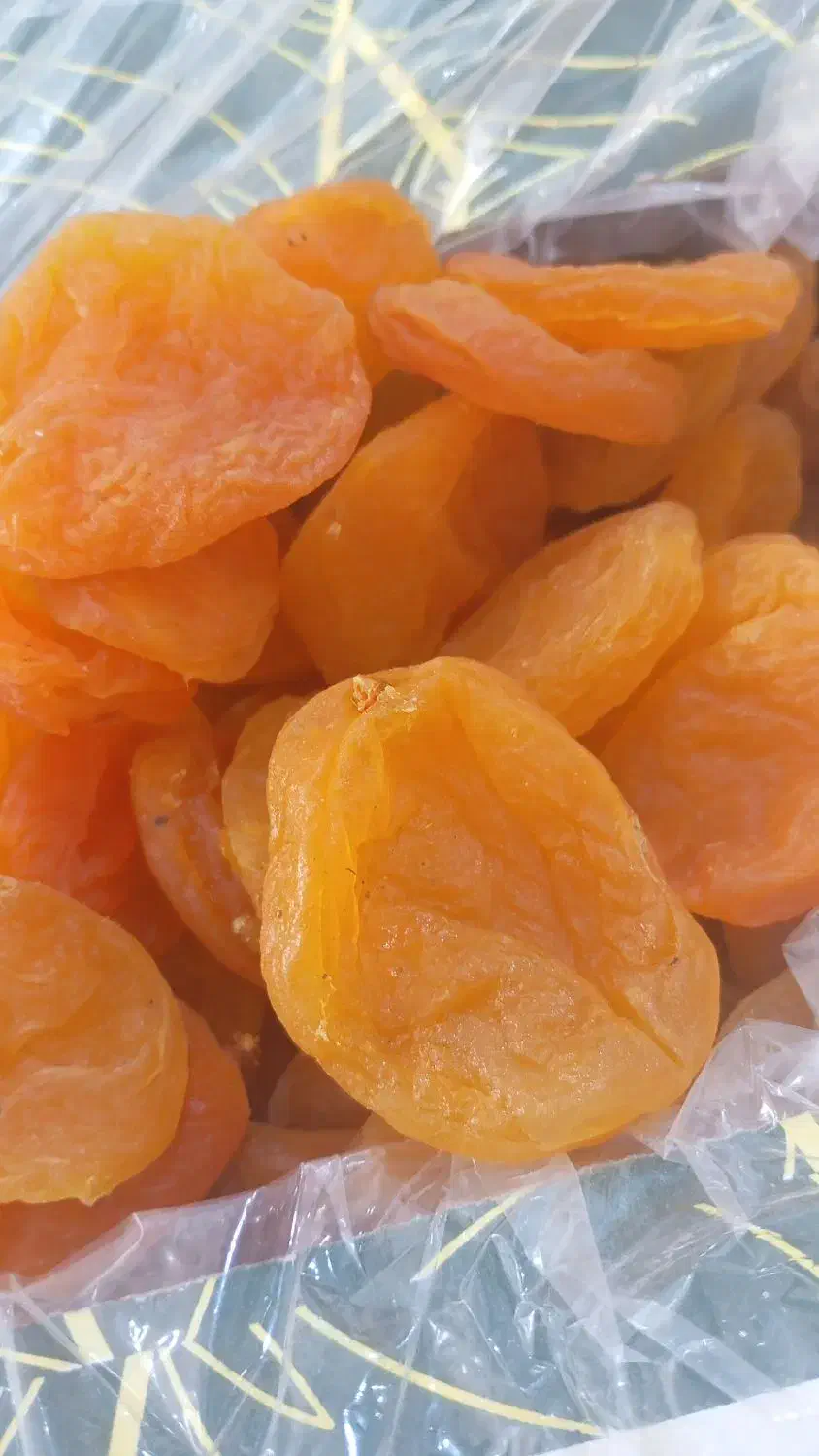 فروش قیسی|خوردنی و آشامیدنی|یامچی, |دیوار