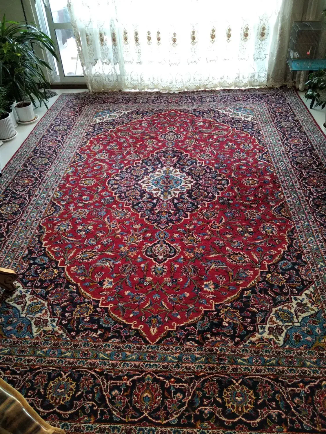 دو تخته فرش 12 متری دستباف اردکان|فرش|اصفهان, خانه اصفهان|دیوار