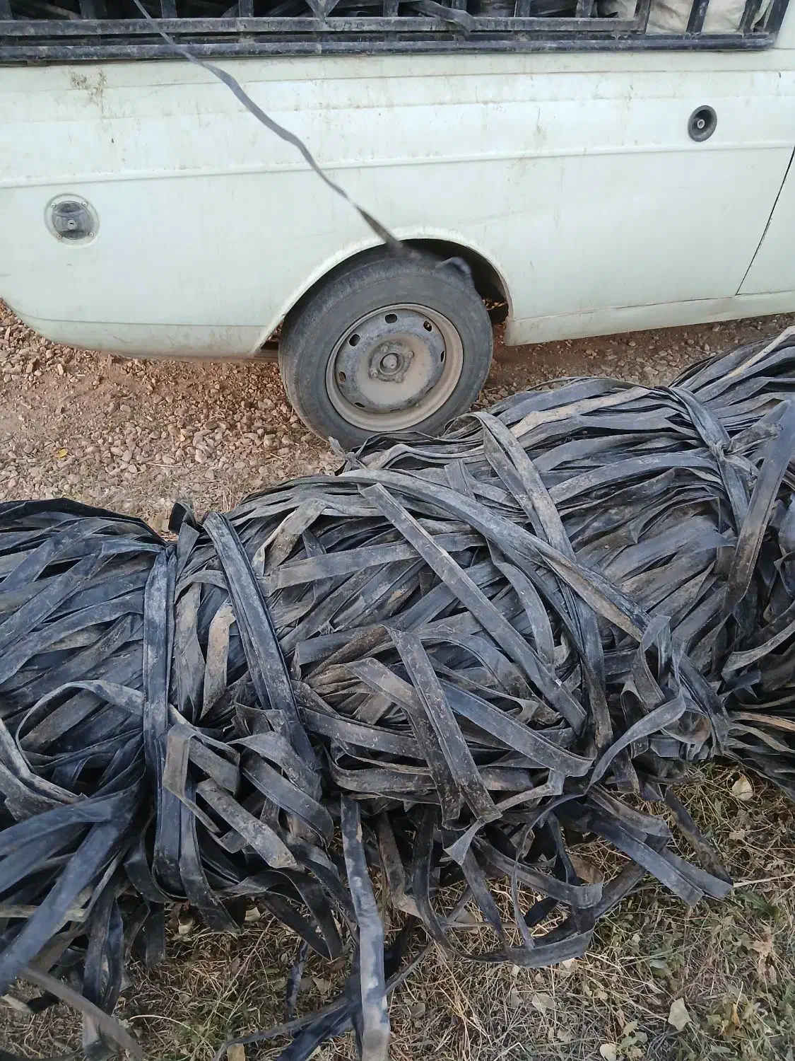 خریدار نوار تیپ|خدمات باغبانی و درختکاری|شازند, |دیوار