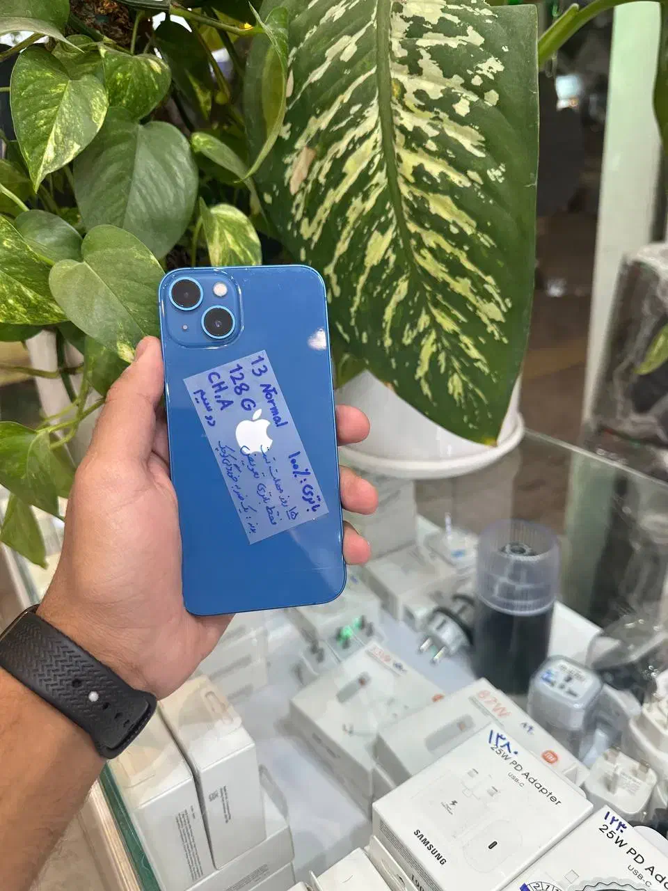 آیفون ۱۳ نرمال|موبایل|تربت جام, المهدی|دیوار