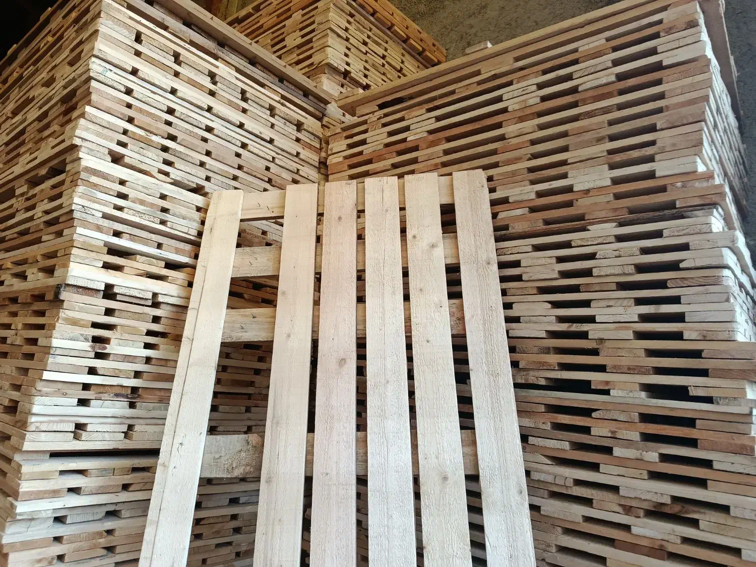 سرپالت ورق روسی ابعاد 120*80تمیز سام|عمده‌فروشی|چهاردانگه (تهران), |دیوار