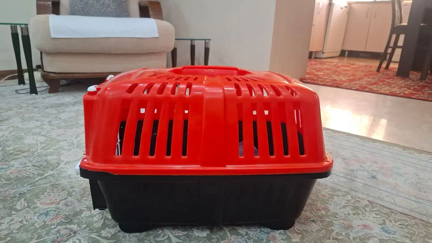 باکس گربه|لوازم جانبی حیوانات|تهران, جنتآباد مرکزی|دیوار