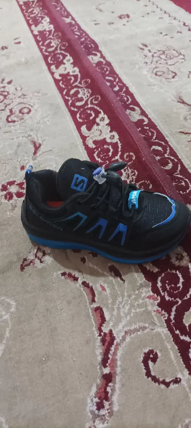 کفش بچه گانه نونو|کفش و لباس بچه|شیراز, سلطان آباد|دیوار