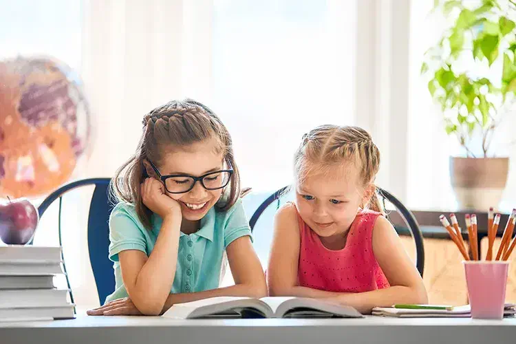 فلش دو زبانه|قطعات و لوازم جانبی رایانه|نیشابور, بلوار گلها|دیوار