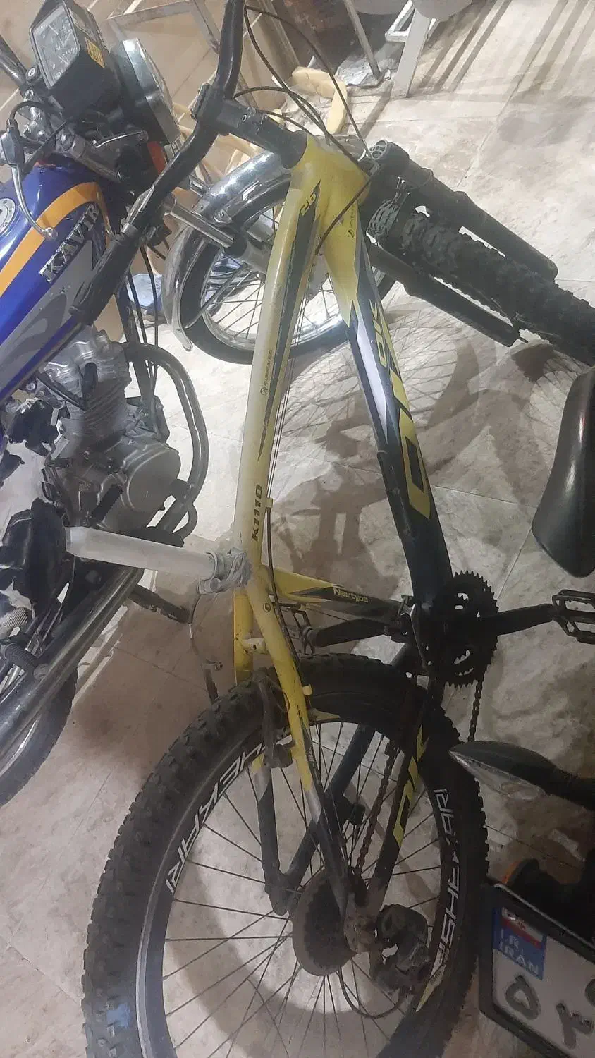 دوچرخه زرد|دوچرخه، اسکیت، اسکوتر|گنبد کاووس, |دیوار