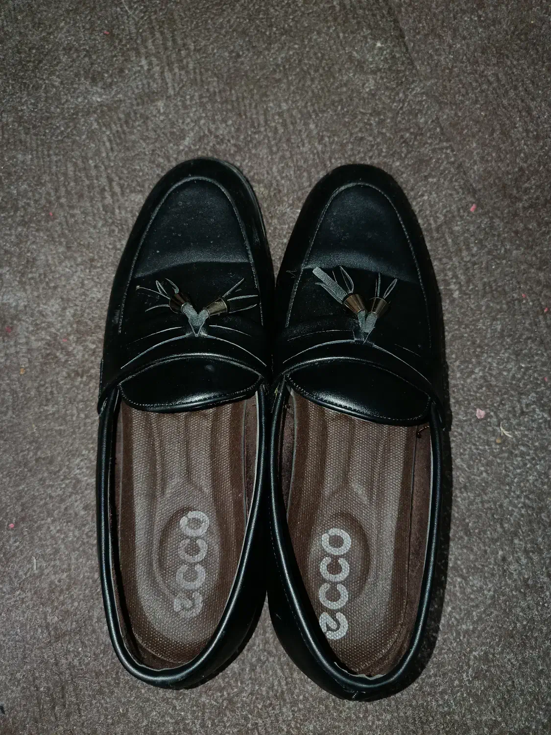 کفش|کیف، کفش، کمربند|اشنویه, |دیوار