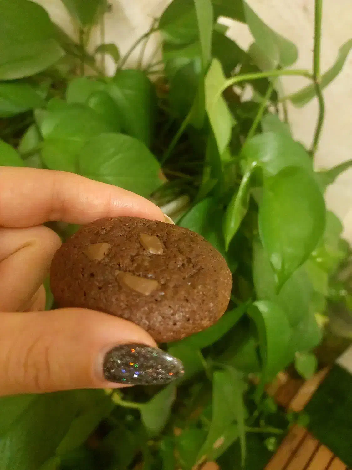 کوکی دبل چاکلت|خوردنی و آشامیدنی|مشکین‌دشت, |دیوار