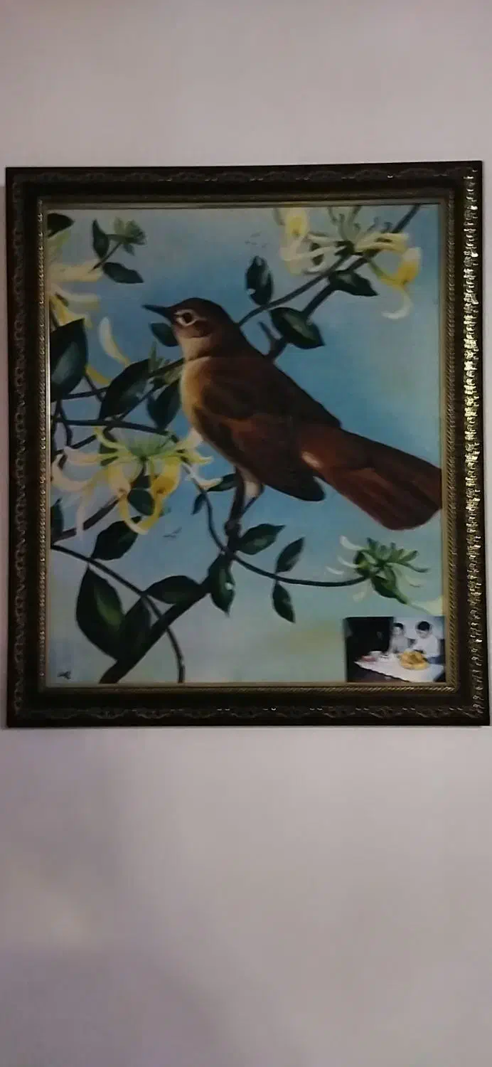 نقاشی . رنگ و روغن . کبوتر|تابلو، نقاشی، عکس|رشت, رشتیان|دیوار