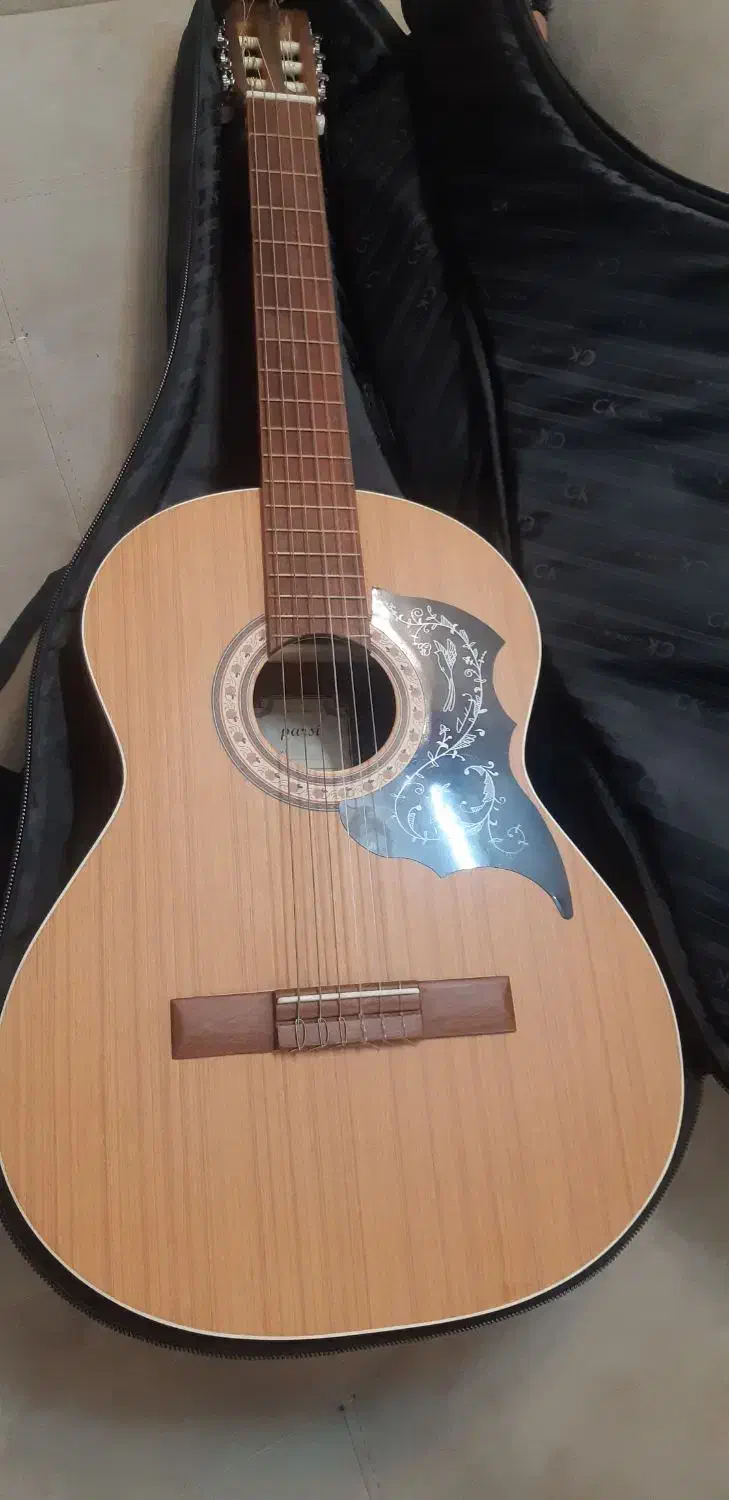 گیتار پارسی M5|گیتار، بیس، امپلیفایر|تهران, پرستار|دیوار