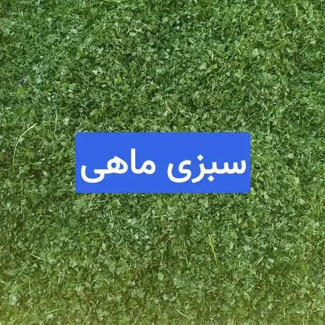 سبزی خشک رامهرمز|خوردنی و آشامیدنی|شاهین‌شهر, عطار|دیوار