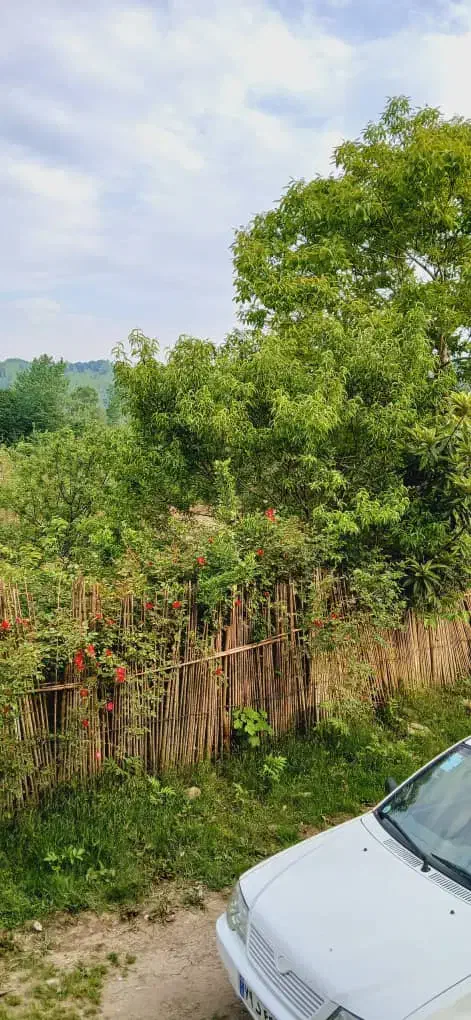 اجاره روزانه و ماهانه ویلا سنتی با ویوه کوه و جنگل|اجارهٔ کوتاه‌مدت ویلا و باغ|لاهیجان, لیل|دیوار