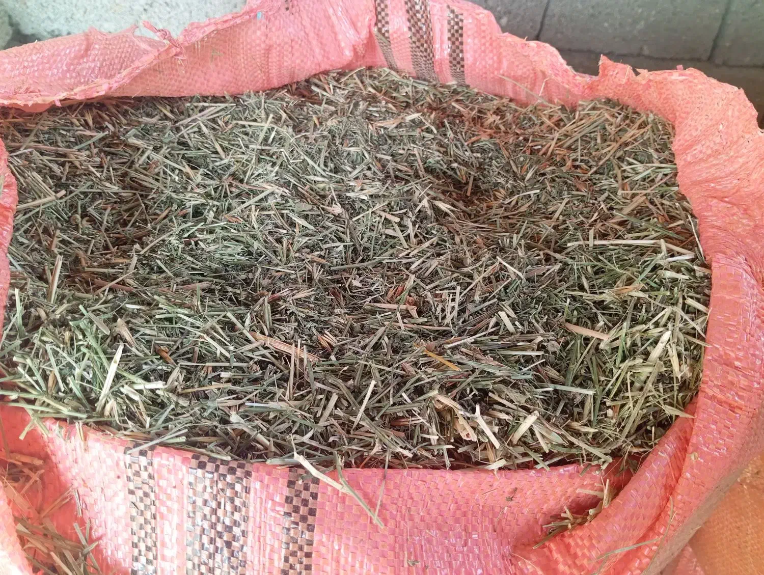 یونجه|لوازم جانبی حیوانات|جره و بالاده, |دیوار