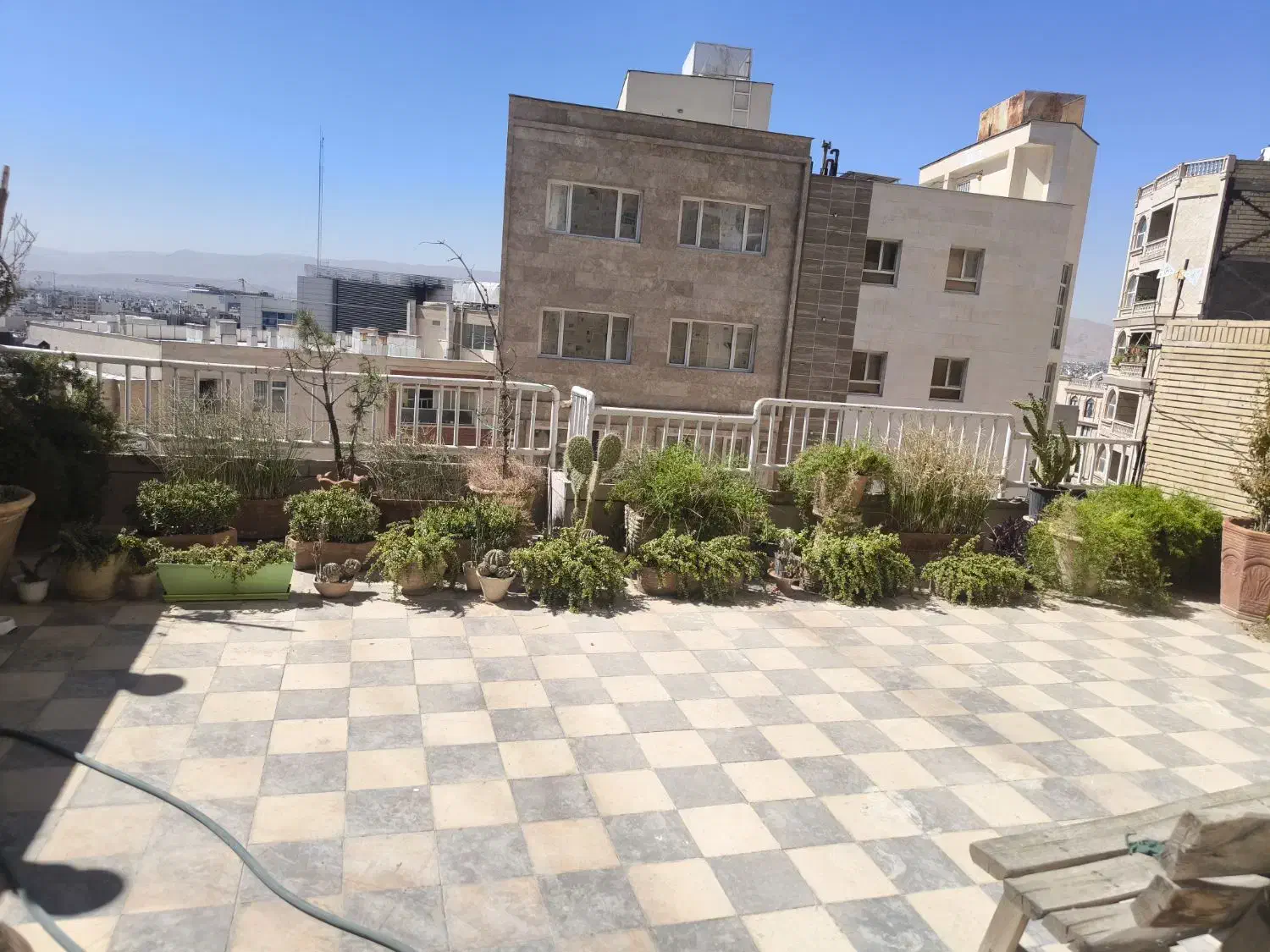 گلدان وگل طبیعی|گل و گیاه طبیعی|شیراز, چوگیاه‎|دیوار