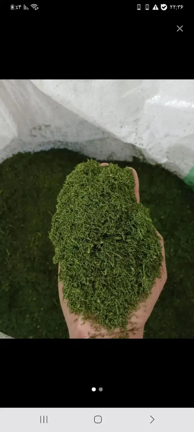 شوید خشک|ماهی|بهبهان, |دیوار