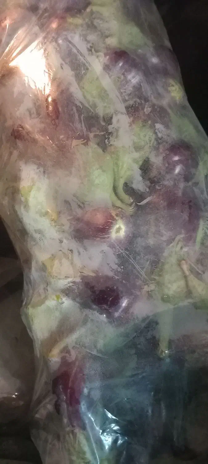 فروش بادمجون  جهت خشک کردن وترشی وسرخ کردن|خوردنی و آشامیدنی|شیراز, ستارخان|دیوار