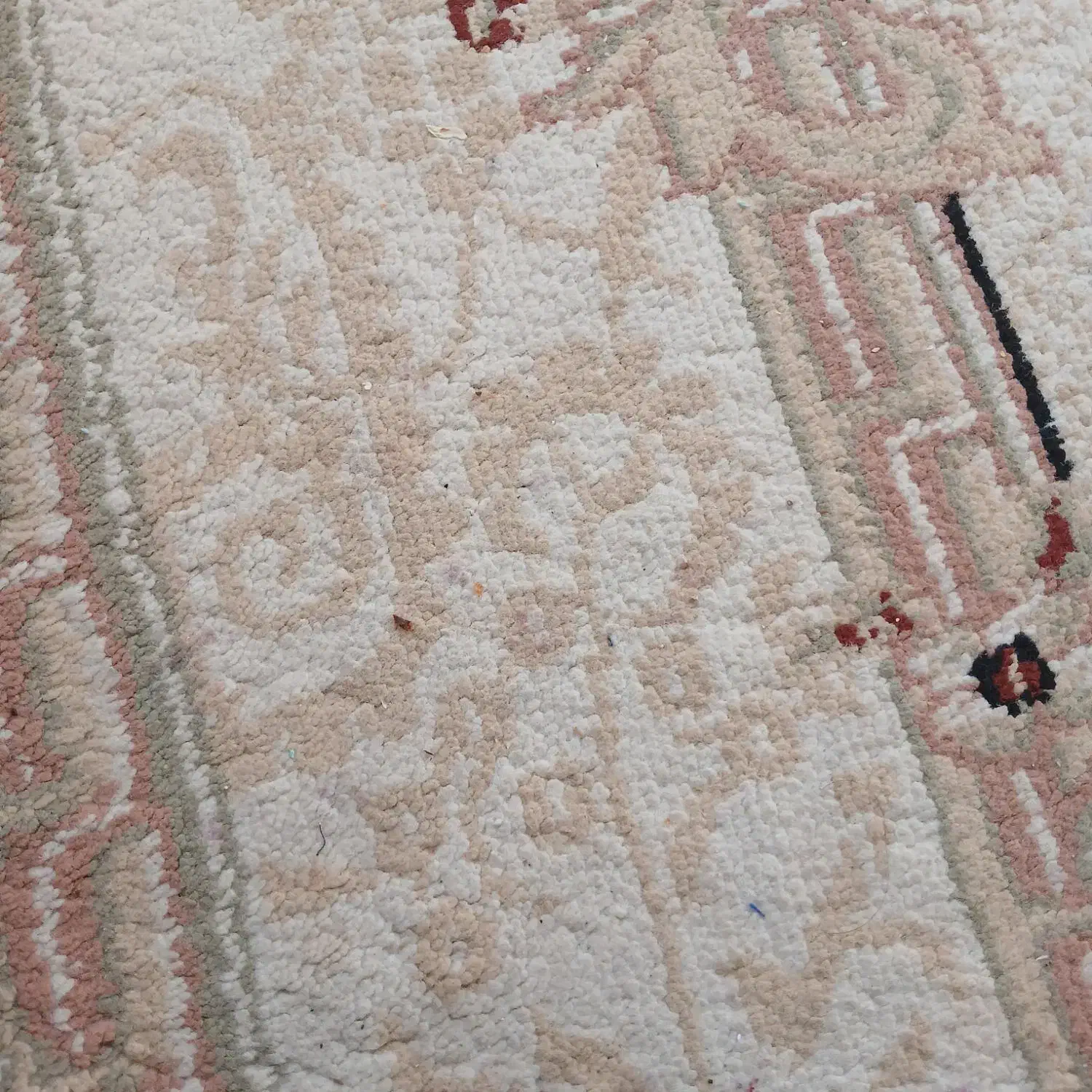 تور قشم|تور و چارتر|یزد, |دیوار