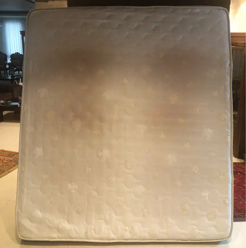 تشک طبی ارغوان|تشک تختخواب|مشهد, فلسطین|دیوار