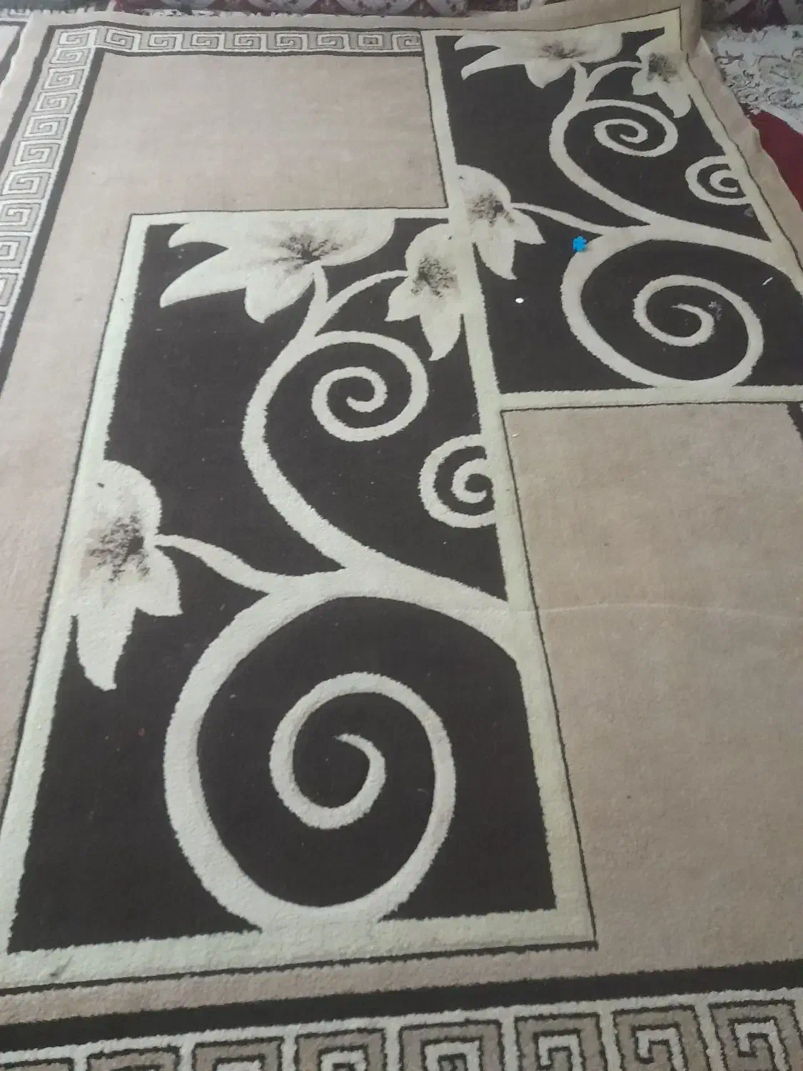 گبه،قالی|گلیم، جاجیم، گبه|مسجد سلیمان, |دیوار